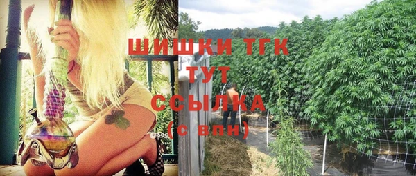 дмт Магас
