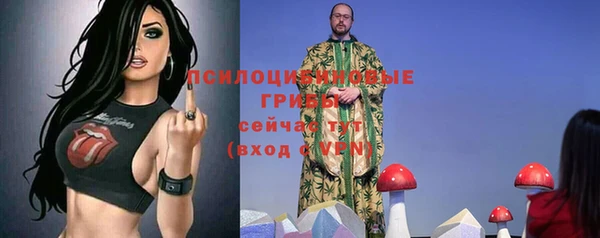 эйфоретик Елабуга